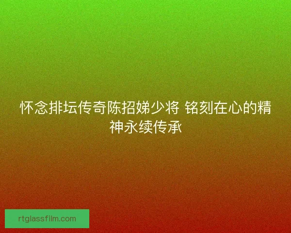 怀念排坛传奇陈招娣少将 铭刻在心的精神永续传承