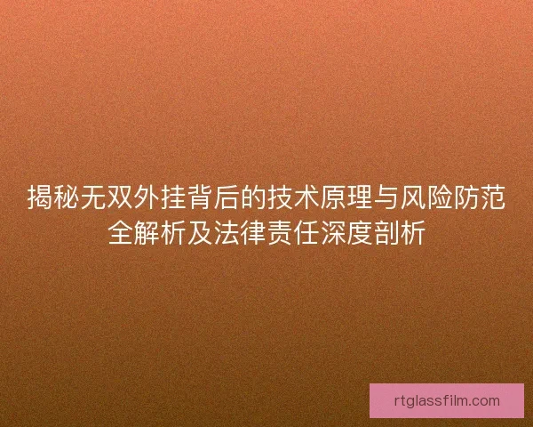 揭秘无双外挂背后的技术原理与风险防范全解析及法律责任深度剖析