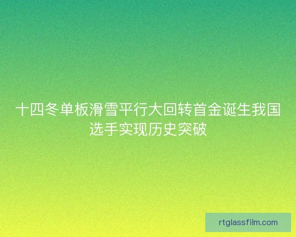 十四冬单板滑雪平行大回转首金诞生我国选手实现历史突破